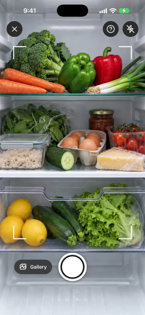 Camera pointed at an open fridge
